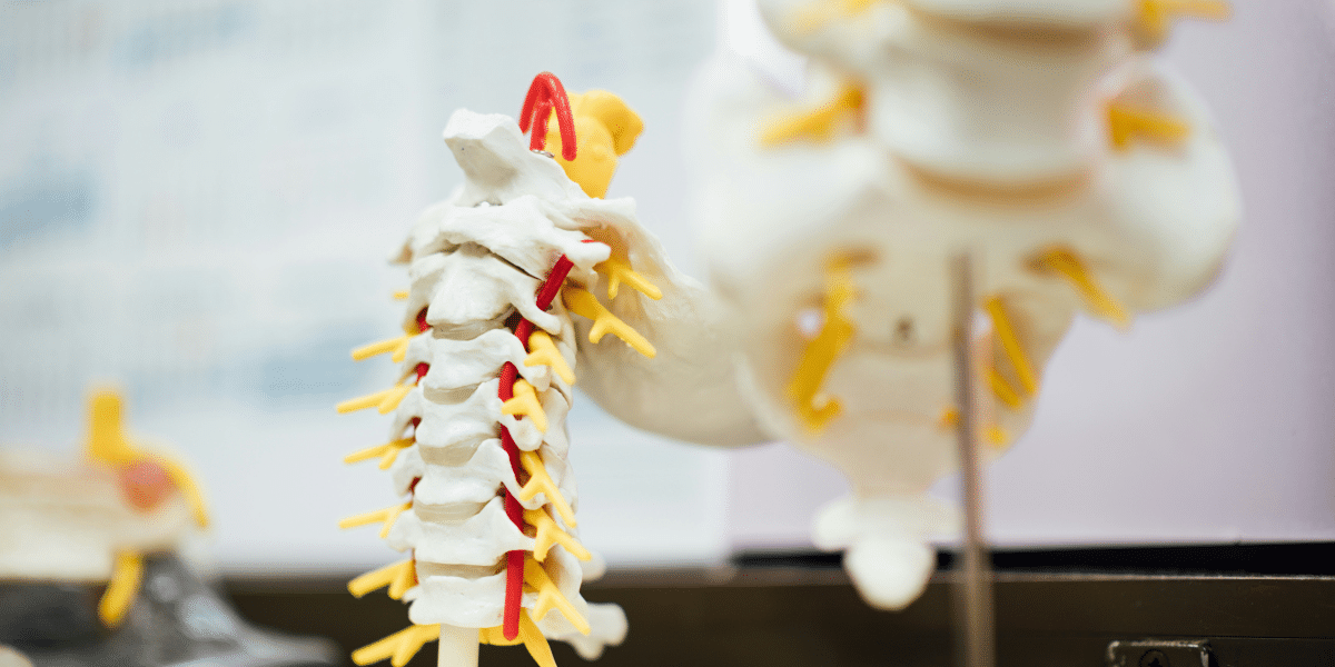 Navigating Spine Injury Recovery: Essential Tips and Insights