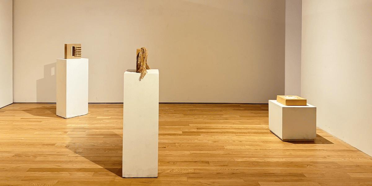 Liang Zhang The Confluence of Art, Nature, and Humanity (2)