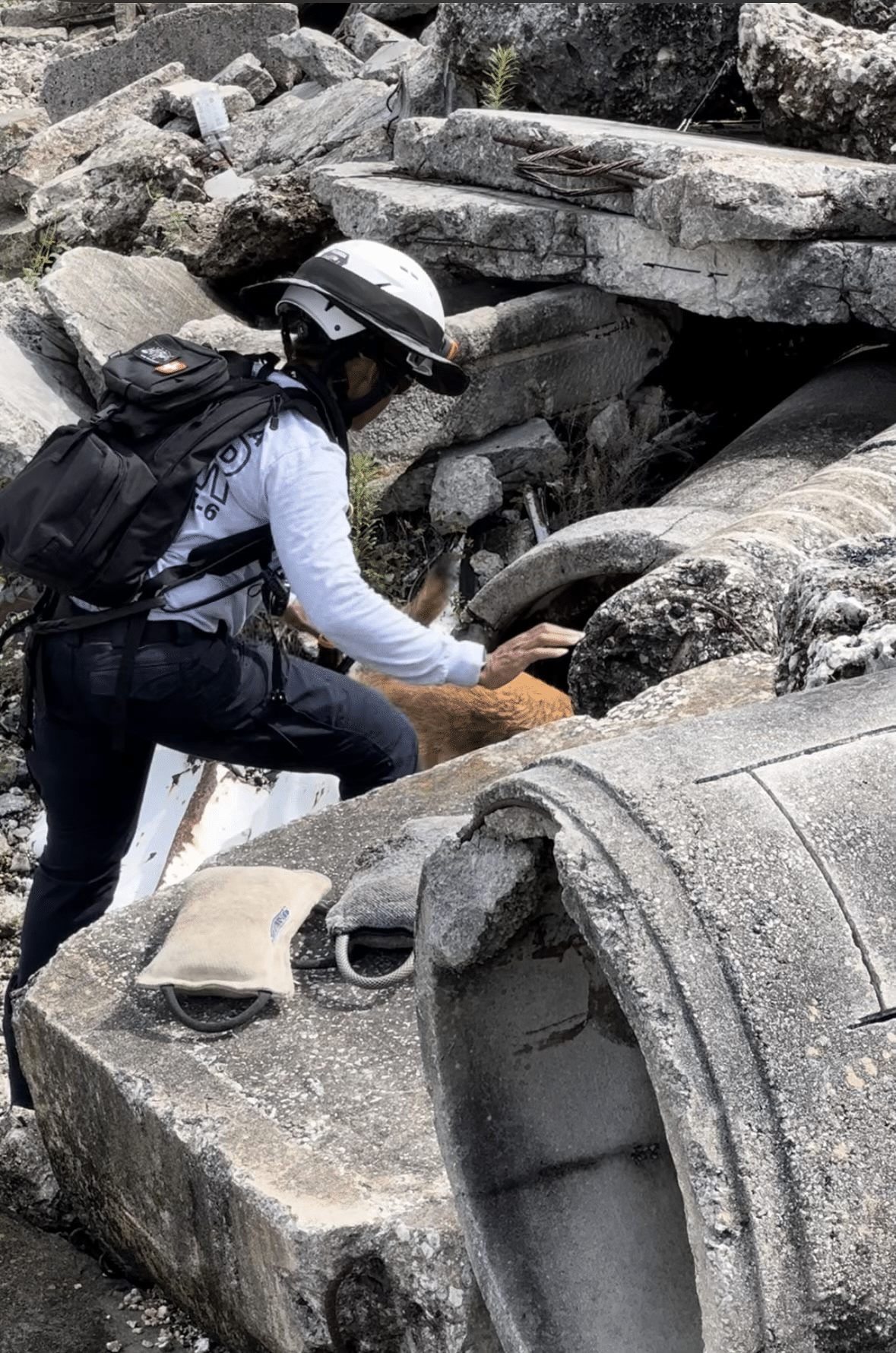 EZ-WASHER The Portable Power Washer Revolutionizing Convenience and Utility