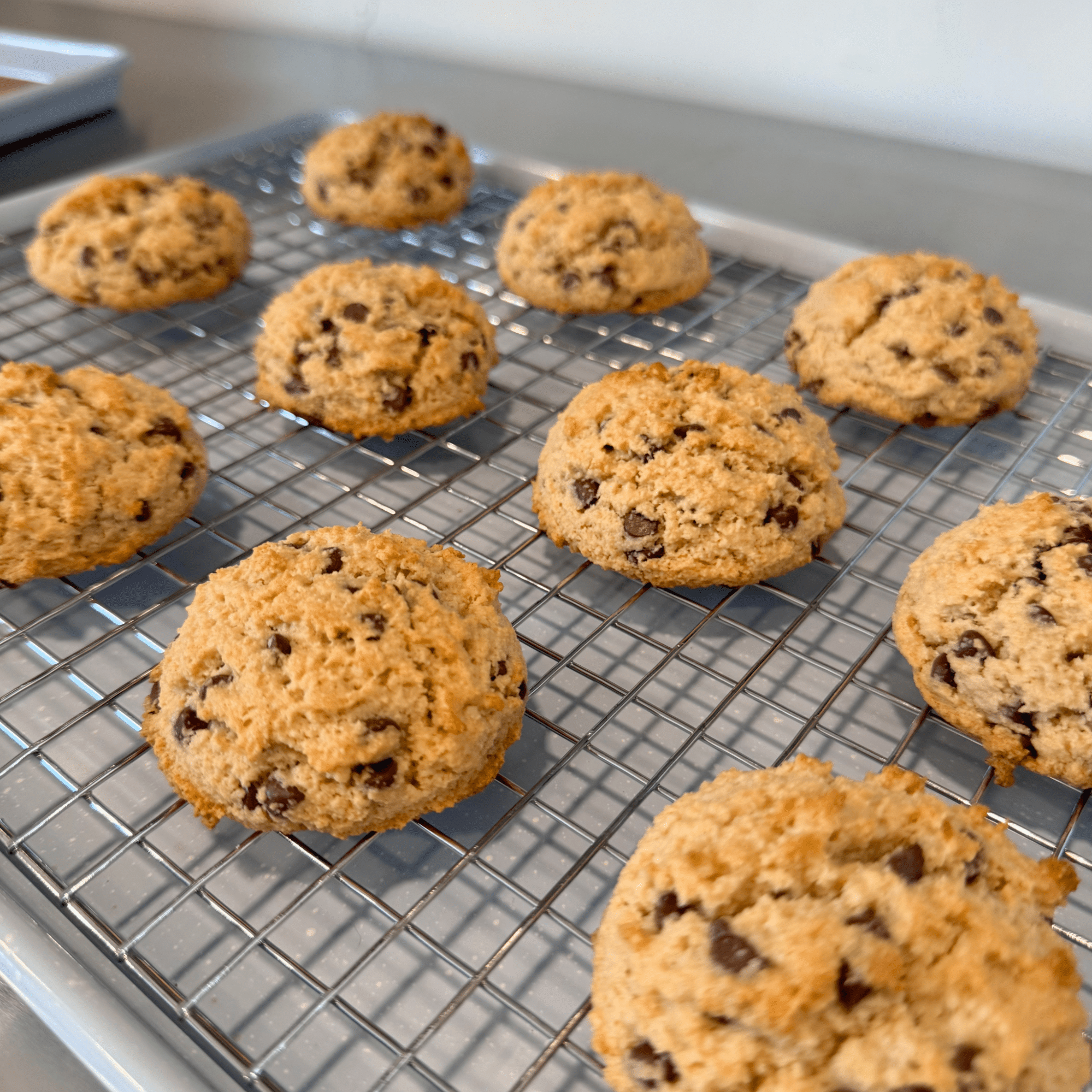 Scoops Baking Co. Redefining Desserts with Allergen-Free, Plant-Based Delights