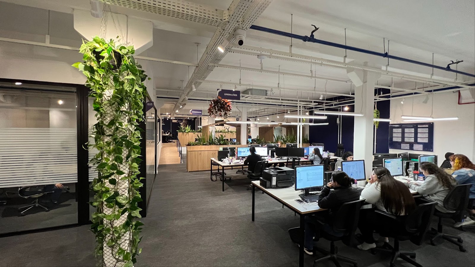 Revolutionizing Telecom Lessons from Gustavo Stocco’s Leadership at Naxi – Insights from Ludio Porto Alegre