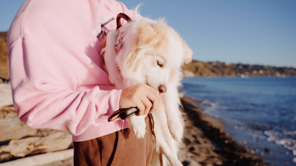 Award-Winning Designer Zerong Yang's Innovation