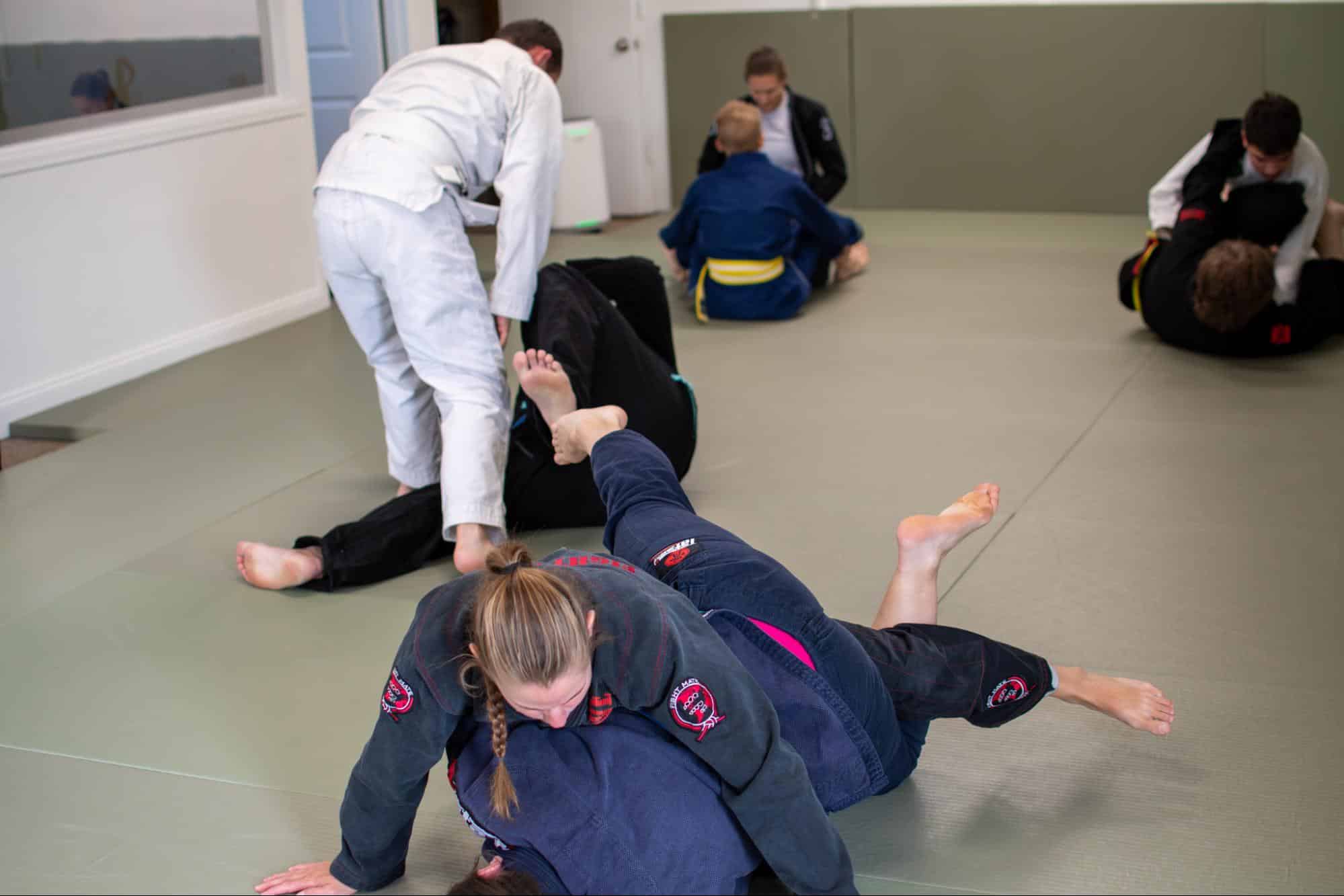 Lionheart Jiu Jitsu Practical Self-Defense and Community Focus
