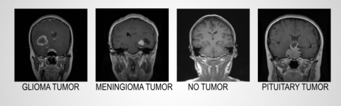 Zhuoyue Wang Shares Insights on AI-Augmented Data Systems