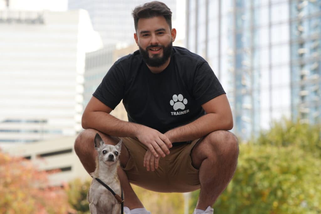 Feisty Chihuahua Sparks Dog Training in North Carolina