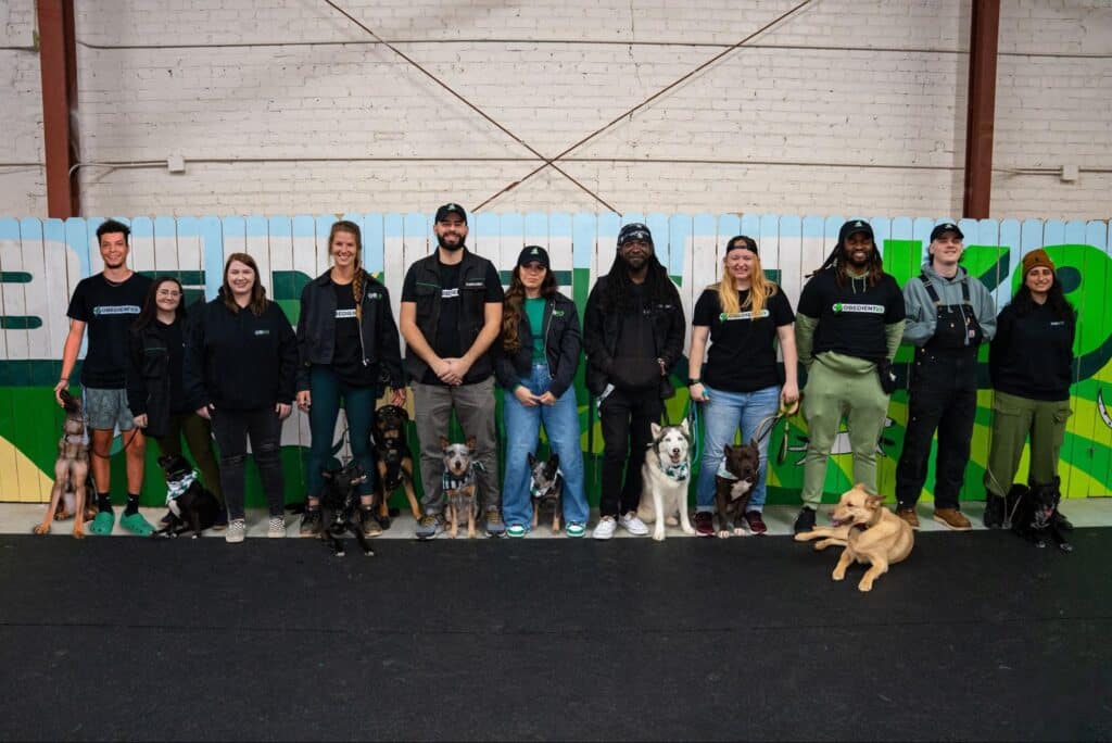 Feisty Chihuahua Sparks Dog Training in North Carolina