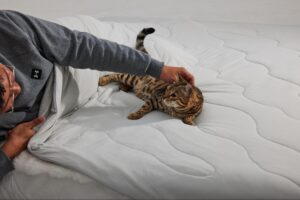 Momcozy® CoolMurm® Silky-Soft Cooling Comforter — Enhanced Sleep for Pregnant Women for Every Season