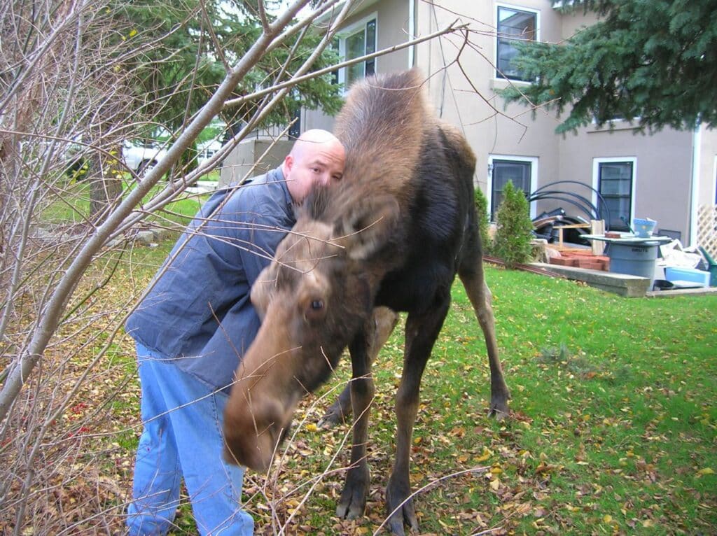 Thoroughspect LLC Rodent-Free Homes in Northern Westchester