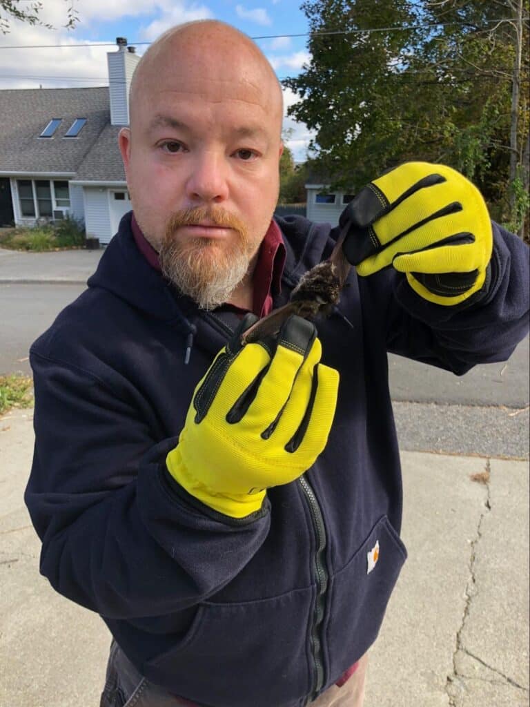 Thoroughspect LLC Rodent-Free Homes in Northern Westchester