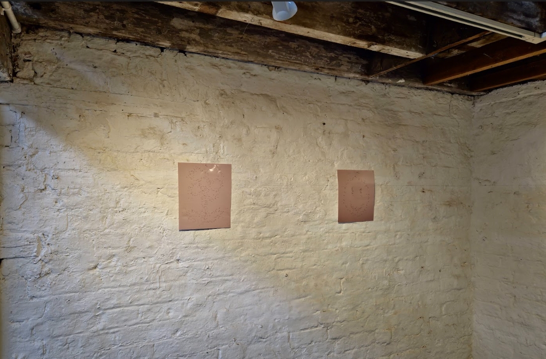 Between Time and Texture: A Review of The Myriad Faces of Art