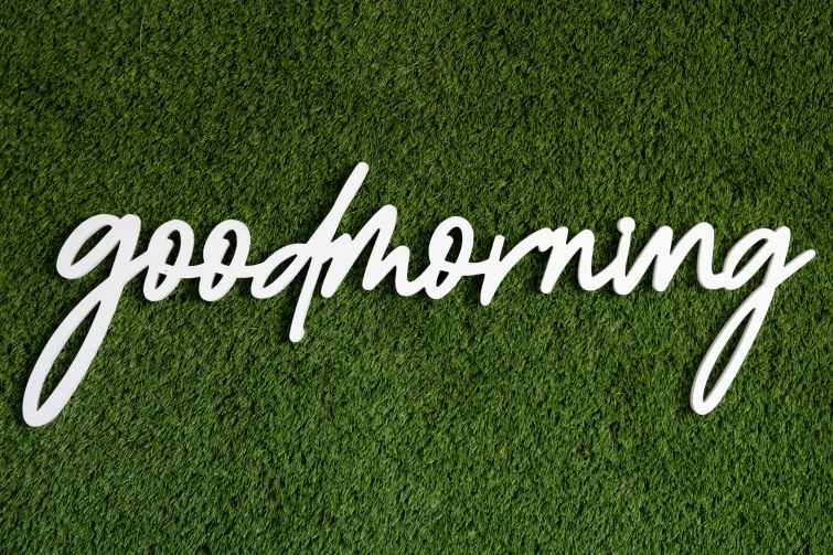 Revolutionize Your Outdoor Space With Low-Maintenance Turf