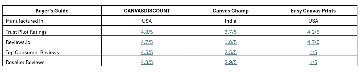 Picanova Inc., Part of TCG, Earns BBB Accreditation Highlighting Commitment to Customer Care