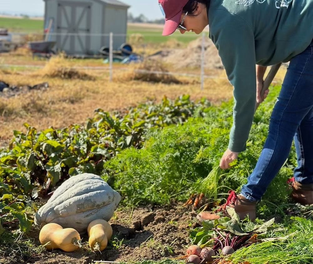 City Girl Farming: Redefining the Relationship Between Food, Farming, and Community