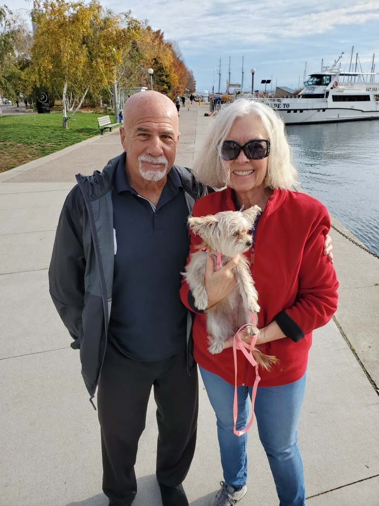 Between These Walls: A Gripping Journey Through History's Darkest Corridors