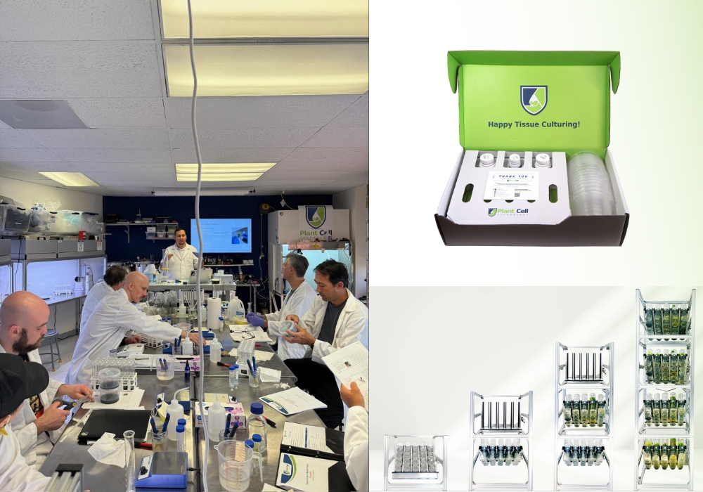 How Plant Cell Technology Is Influencing Biotech Manufacturing in the U.S.
