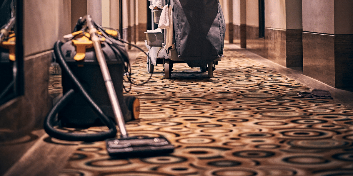 The Red Carpet Delivering Exceptional Carpet Cleaning Services Across London