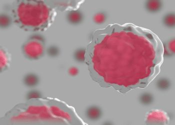 Novel Research on Early Lung Cancer Detection Using Deep Learning Methods