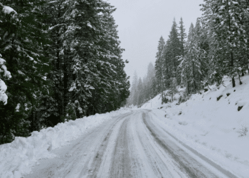 STAR’S TECH Hopes To Reduce Environmental Damage By Perfectly Upcycling Materials