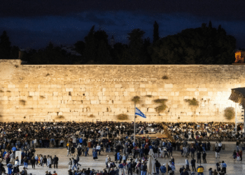 Entrepreneur and Philanthropist Mikhail Peleg Honored for Lifetime Commitment to Jewish Community and Israel