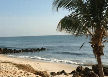 The Galapagos Islands have become one of the leading Nature Destinations for New Yorkers.