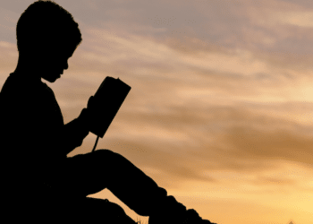 Chronicles of Destiny: An Immersive Historical Thriller