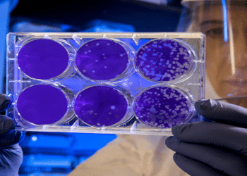 Immunotherapy Regenerative Medicine Center Explains How Stem Cell Treatments Enhance the Immune System