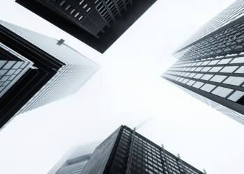 5 Seed Stage Venture Capital Firms to Check Out