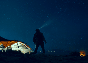 Night Vision Scopes vs Thermal Scopes: What Every Hunter Needs to Know