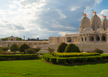 Shaye Grant’s Remarkable Achievement in Texas Real Estate Helps New Yorkers Relocate to the Lone Star State