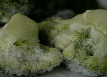 How To Freeze Dry Food and Herbs Properly