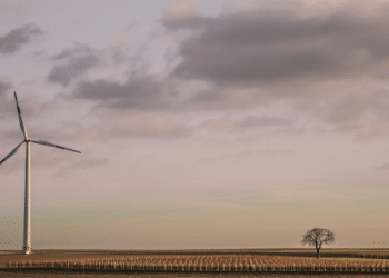 Changeblock: Facilitating Environmental Asset Investment and Propelling the Transition to a Global Net-Zero Economy