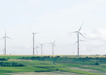 Brikel EAD Embarks on an Ambitious Transition to a Low-Carbon Economy for a Greener Future