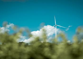 Sam Scoten Discusses Solutions to Challenges Facing Eco-Friendly Startups