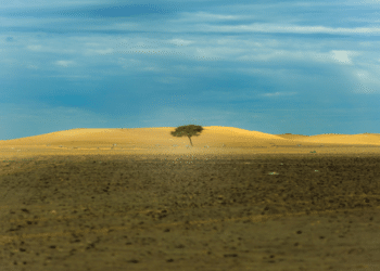 Ruthie Tate: Crafting Stories of Resilience and Redemption