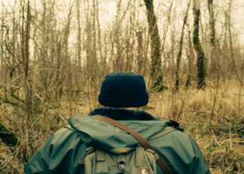 Get Ready to Put Your Survival Skills to the Test in this Enthralling Book Series by Owen Davis