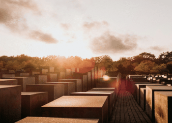 Why “Survived and Thriving” is a Must-Read for Women Looking to Turn Their Lives Around