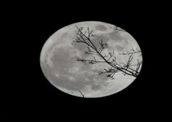 Victoria U. Bell’s Pasha Entertainment Promises a Fresh Take on Horror with “Heir of the Witch”