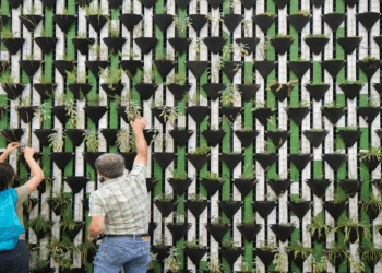 Green Marketing: Not Just a Tendency – A Promise to a Better Future