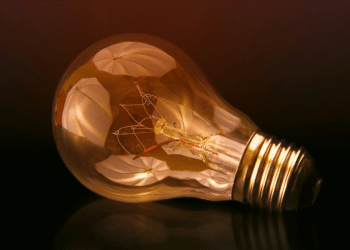 Cultivating Compassion and Innovation: The Journey of Gaurav Srivastava