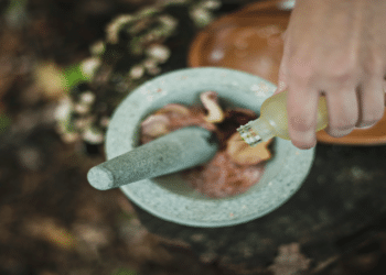 Dr. Glen Swartwout: Revolutionizing the world of medicine with natural therapies