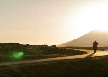 The Transformative Role of Sober Companions in Recovery Journeys