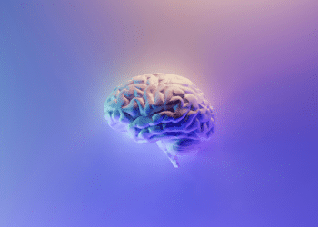 Brain Power Wellness Reviews How Beauty is in Every Fabric of Our Being