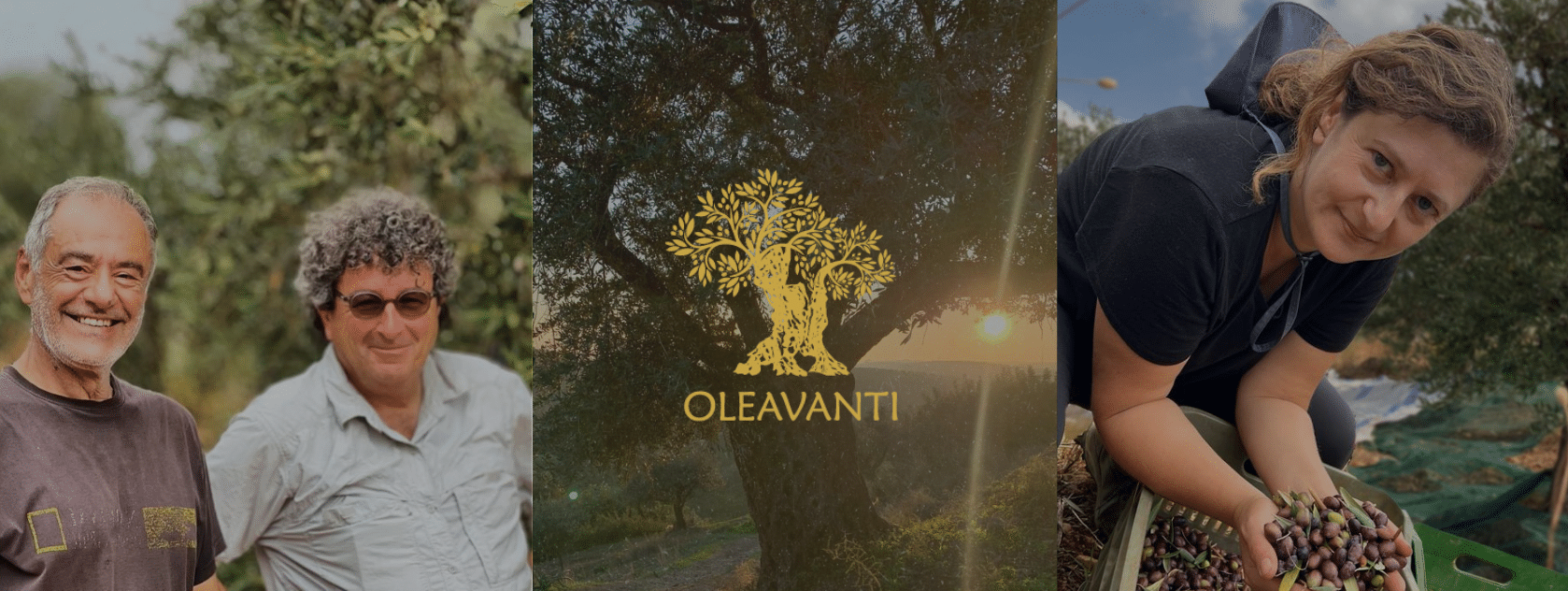 Oleavanti: A Tradition of Excellence in Olive Oil