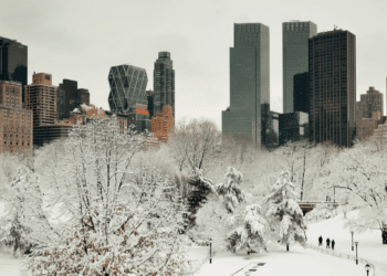 Central Park's Remarkable 653-Day Snow Drought Shatters Records