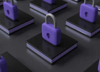 Securing Your Online Presence: A Guide to Internet Safety in France with Ten Essential Tips