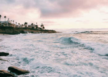 Why Does a Summer in San Diego Offer a New Lease on Life for New Yorkers?