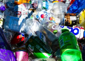 NYC Recycling Laws & How Residents Can Do More To Comply