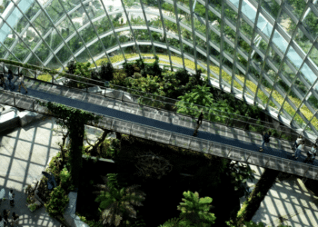 Greening Operations: Strategies for Sustainable Business Practices