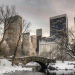 Winter Wonders: Embracing the Charms of New York City in January