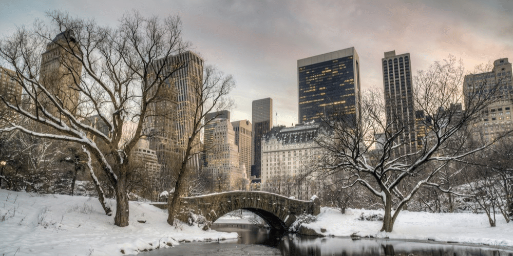 Winter Wonders: Embracing the Charms of New York City in January